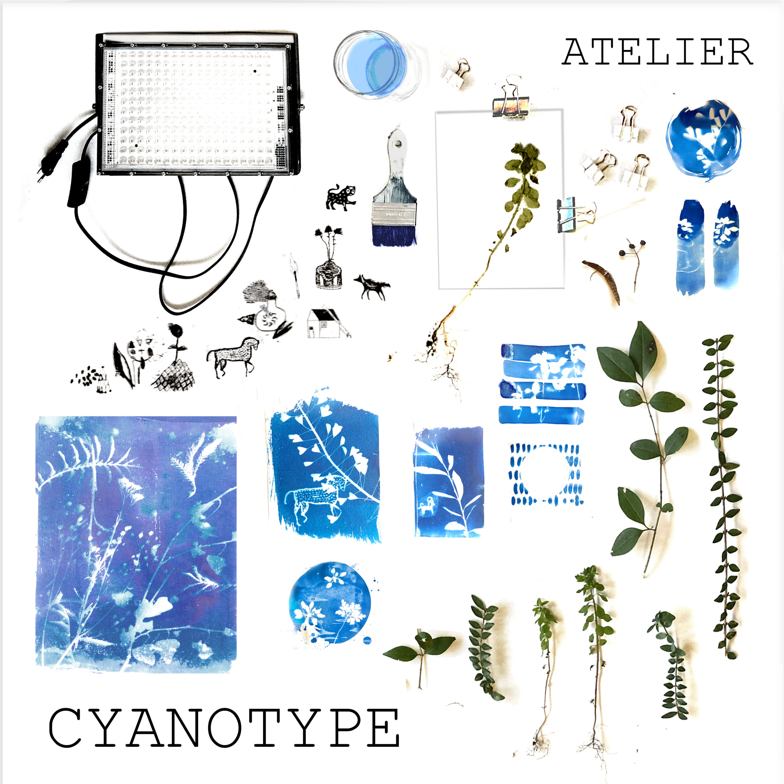 Atelier cyanotype I