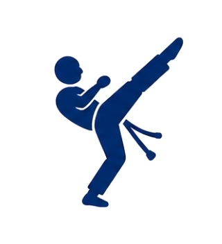 Jiu-Jitsu Brésilien